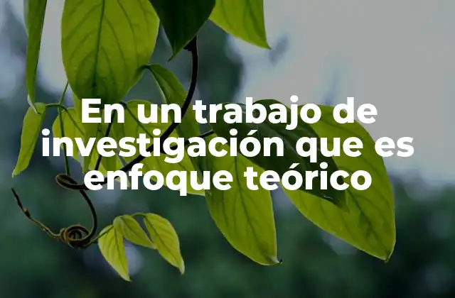 En un Trabajo de Investigación que es Enfoque Teórico