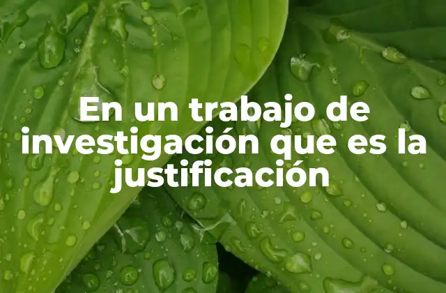 La importancia de la justificación en la estructura de un trabajo académico