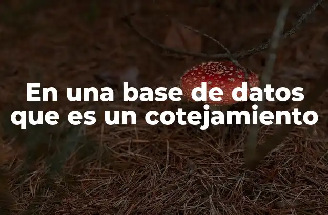 En una Base de Datos que es un Cotejamiento