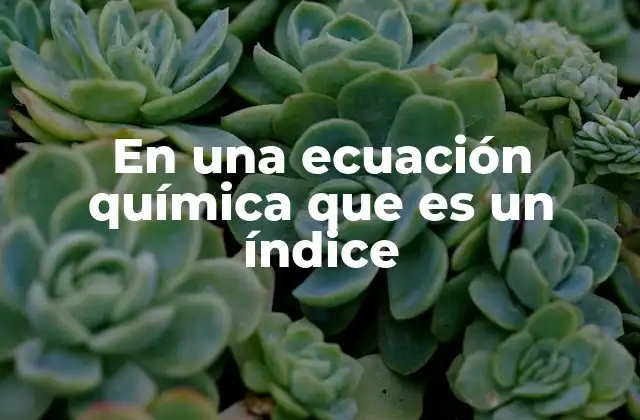 En una Ecuación Química que es un Índice