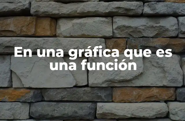 En una Gráfica que es una Función