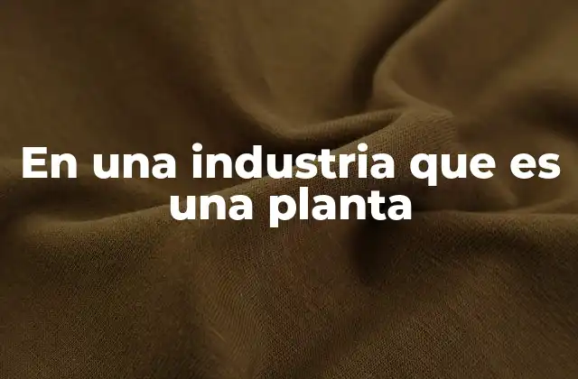 En una Industria que es una Planta