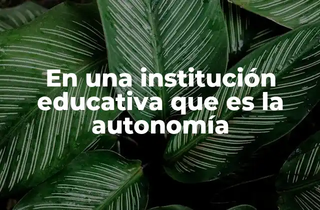 En una Institución Educativa que es la Autonomía