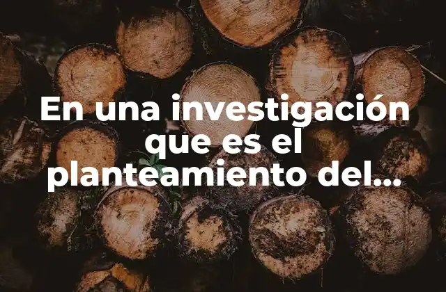 En una Investigación que es el Planteamiento Del Problema
