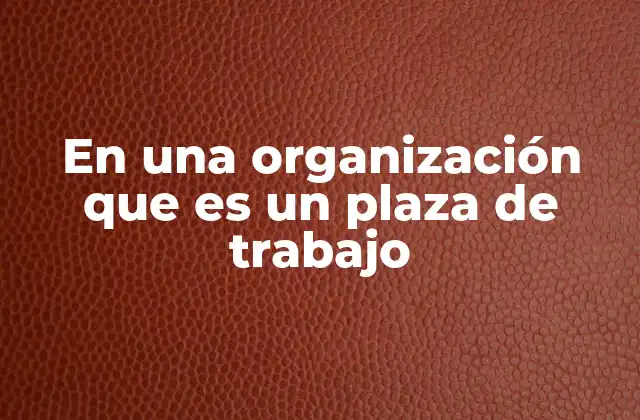 En una Organización que es un Plaza de Trabajo