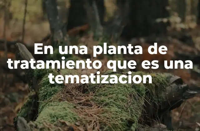 En una Planta de Tratamiento que es una Tematizacion