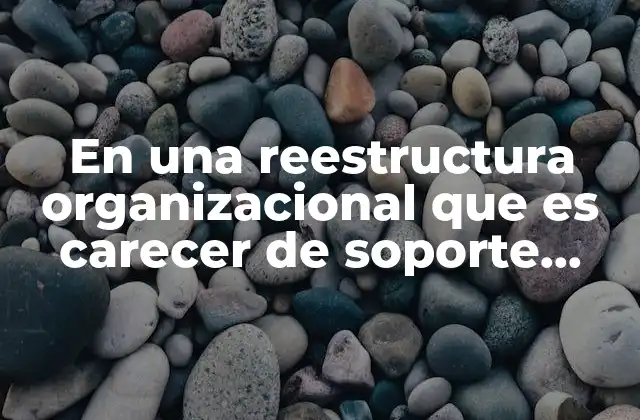 En una Reestructura Organizacional que es Carecer de Soporte Operativo