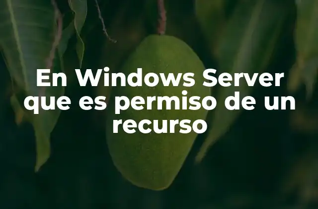 En Windows Server que es Permiso de un Recurso 2 Cómo los permisos afectan la gestión de recursos en Windows Server