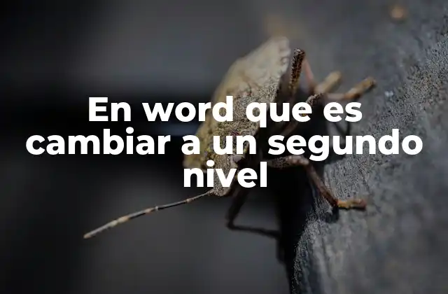 En Word que es Cambiar a un Segundo Nivel