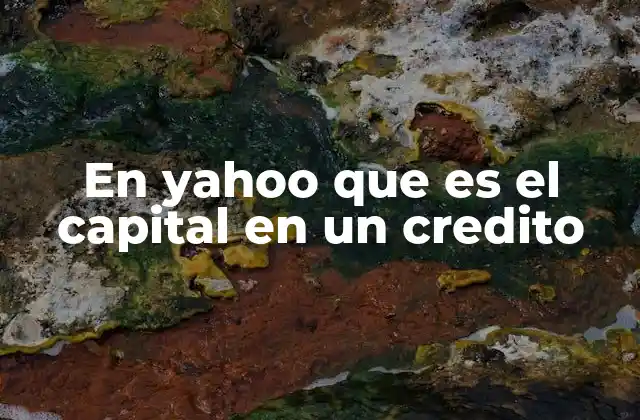 En Yahoo que es el Capital en un Credito