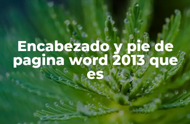 Encabezado y Pie de Pagina Word 2013 que es