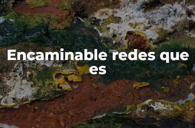 Encaminable Redes que es