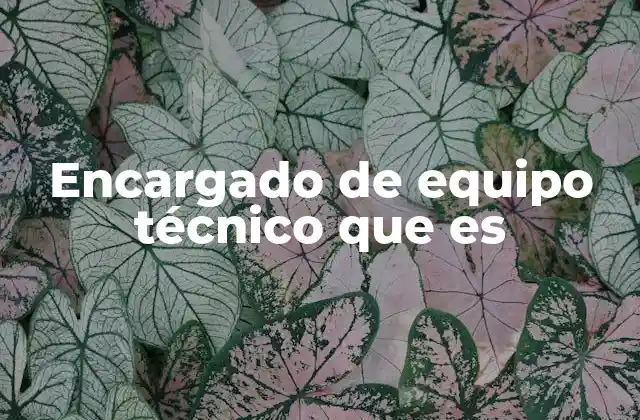 Encargado de Equipo Técnico que es