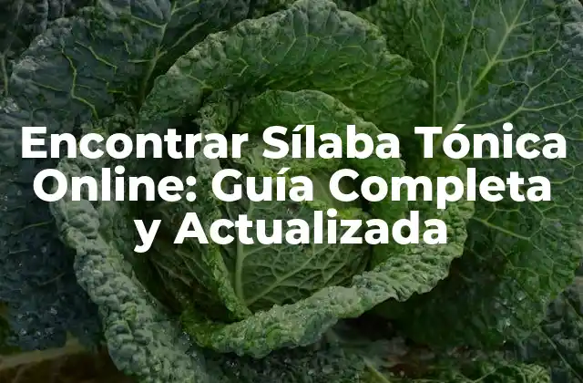 Encontrar Sílaba Tónica Online: Guía Completa y Actualizada