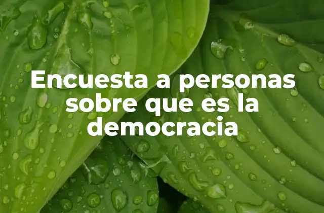 Encuesta a Personas sobre que es la Democracia
