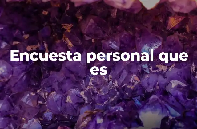 Encuesta Personal que es