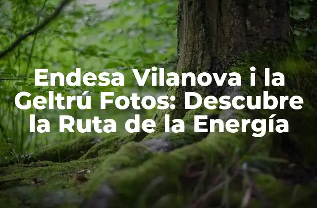 Endesa Vilanova I la Geltrú Fotos: Descubre la Ruta de la Energía