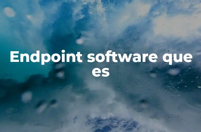 Endpoint Software que es