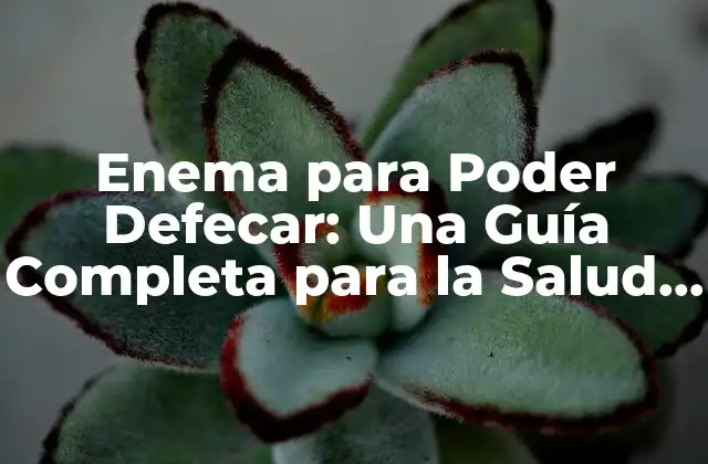 Enema para Poder Defecar: una Guía Completa para la Salud Digestiva