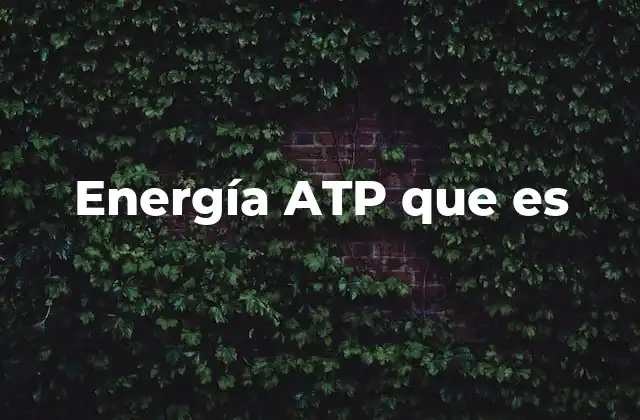 Energía Atp que es