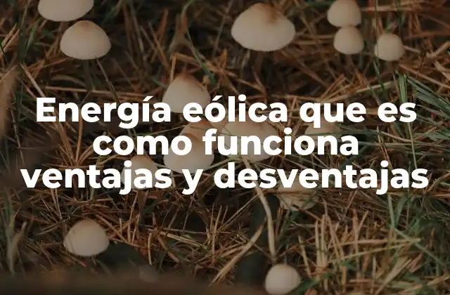Energía Eólica que es como Funciona Ventajas y Desventajas