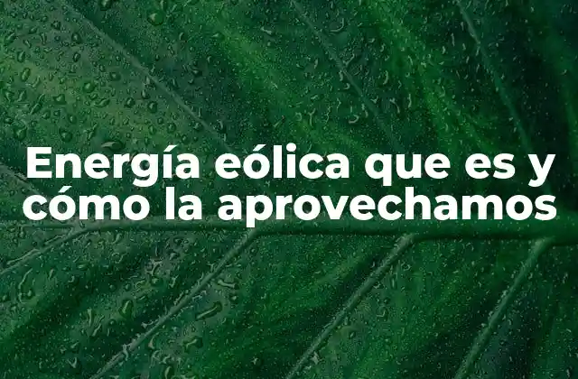 Energía Eólica que es y Cómo la Aprovechamos