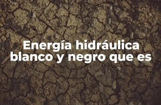 Energía Hidráulica Blanco y Negro que es