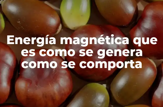 Energía Magnética que es como Se Genera como Se Comporta