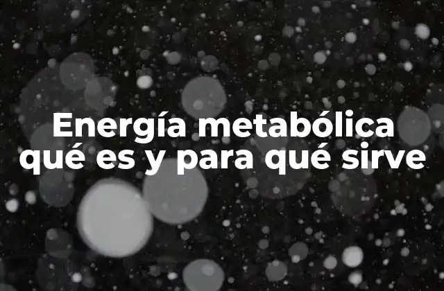 Energía Metabólica Qué es y para Qué Sirve
