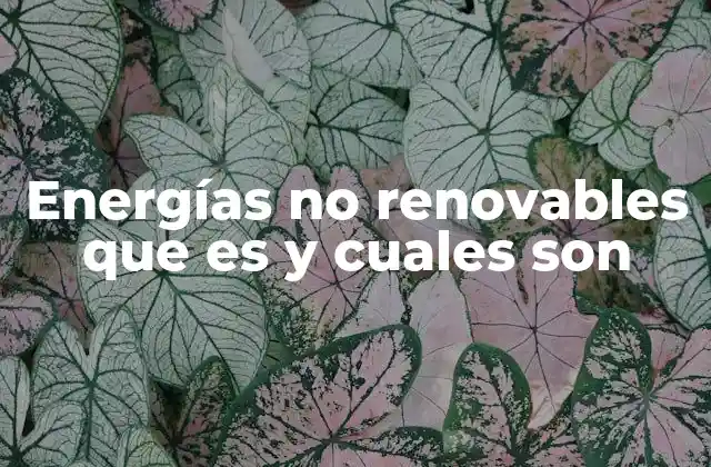 Energías No Renovables que es y Cuales Son