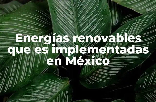 La evolución de las energías renovables en el contexto mexicano