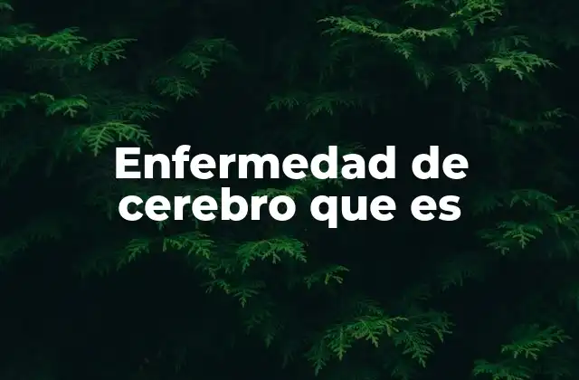 Causas y factores que pueden provocar una afección neurológica