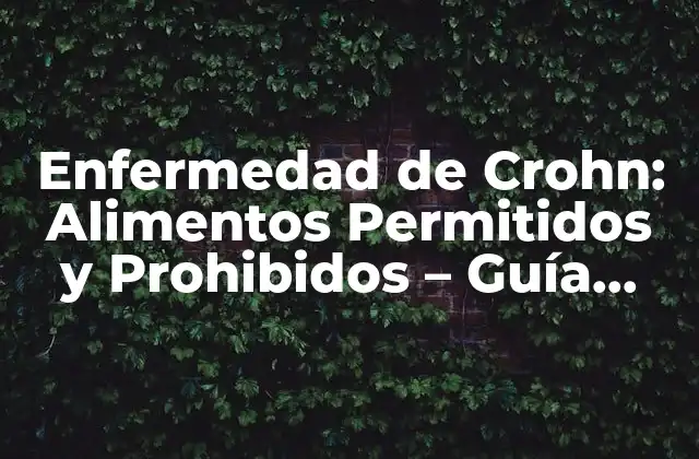 Enfermedad de Crohn: Alimentos Permitidos y Prohibidos – Guía Completa