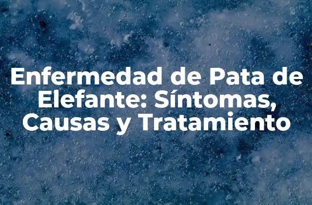 Enfermedad de Pata de Elefante: Síntomas, Causas y Tratamiento