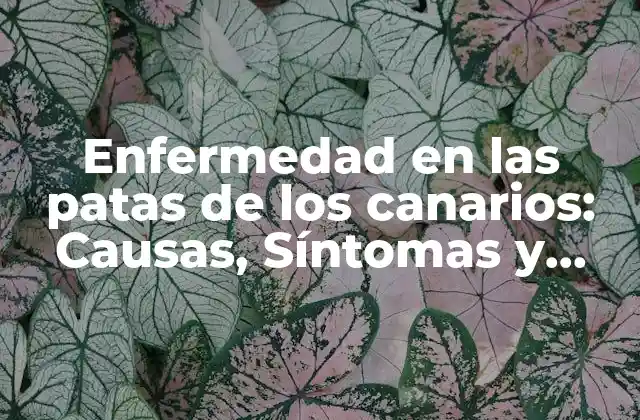 Enfermedad en las Patas de los Canarios: Causas, Síntomas y Tratamiento