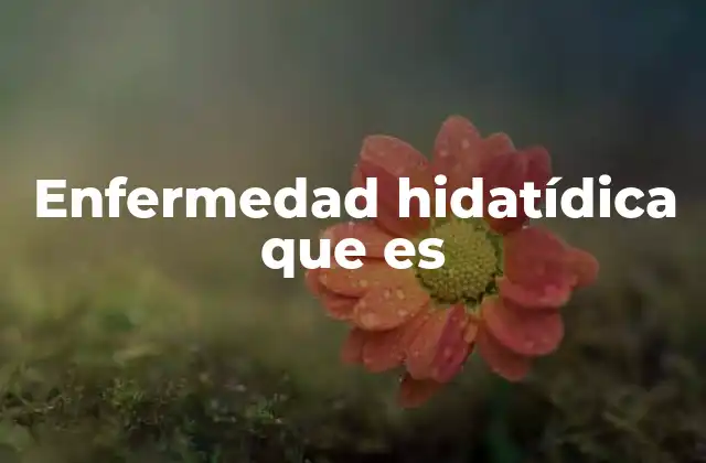 Enfermedad Hidatídica que es