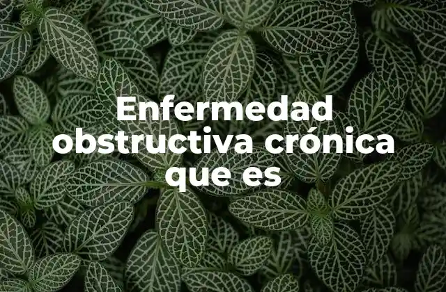 Enfermedad Obstructiva Crónica que es