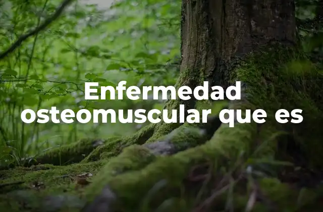 Enfermedad Osteomuscular que es 2 Causas comunes de las enfermedades del sistema musculoesquelético