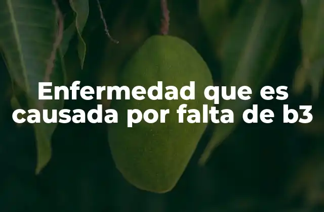 Enfermedad que es Causada por Falta de B3