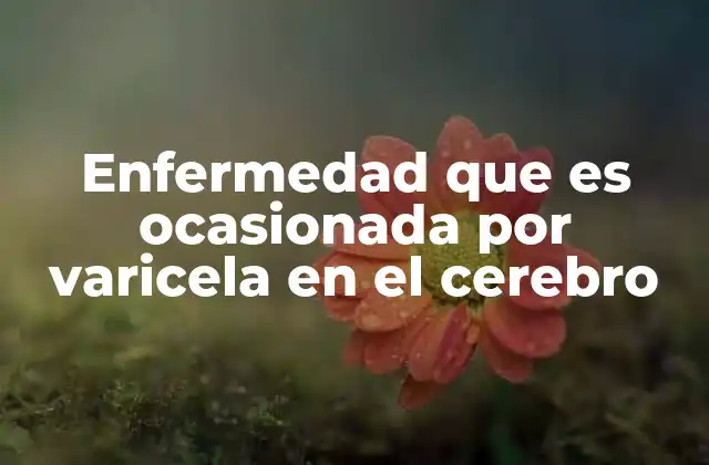 Enfermedad que es Ocasionada por Varicela en el Cerebro