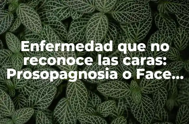 Enfermedad que No Reconoce las Caras: Prosopagnosia o Face Blindness