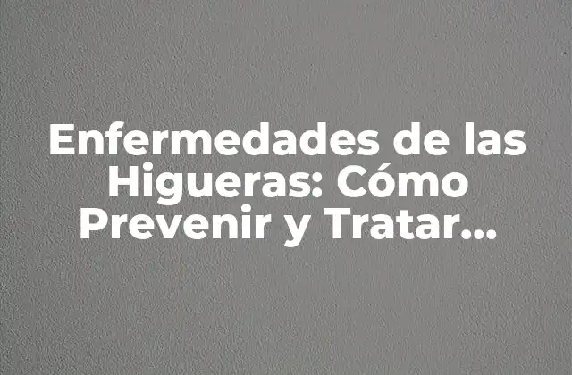 Enfermedades de las Higueras: Cómo Prevenir y Tratar Problemas Comunes 2 Causas Comunes de Enfermedades en Higueras