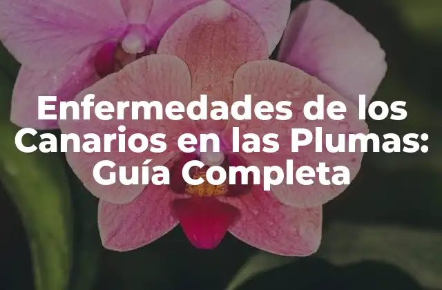 Enfermedades de los Canarios en las Plumas: Guía Completa