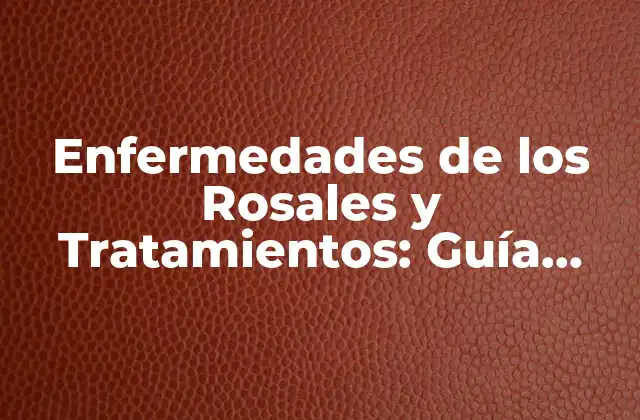 Enfermedades de los Rosales y Tratamientos: Guía Completa