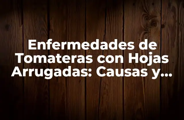 Enfermedades de Tomateras con Hojas Arrugadas: Causas y Soluciones