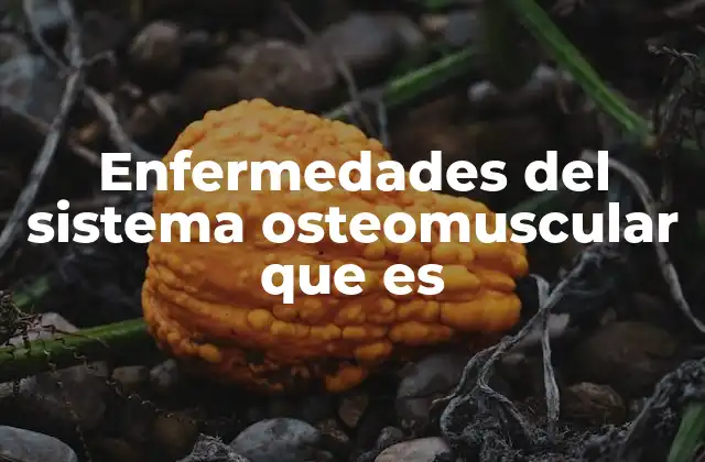 Enfermedades Del Sistema Osteomuscular que es