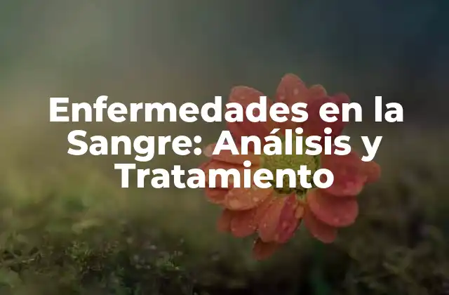 Enfermedades en la Sangre: Análisis y Tratamiento