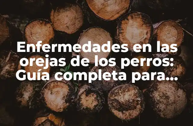 Enfermedades en las Orejas de los Perros: Guía Completa para Dueños de Mascotas