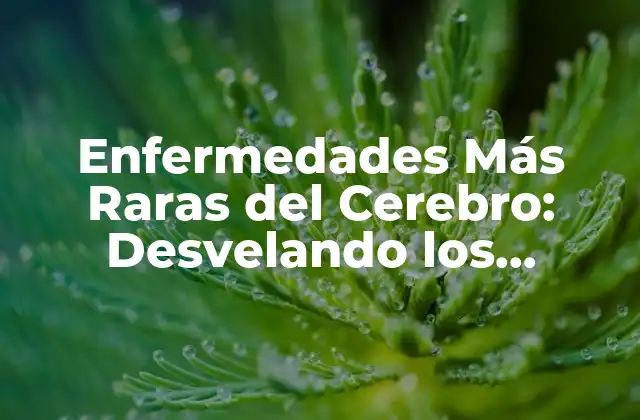 Enfermedades Más Raras Del Cerebro: Desvelando los Misterios de la Salud Neural