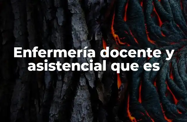 Enfermería Docente y Asistencial que es